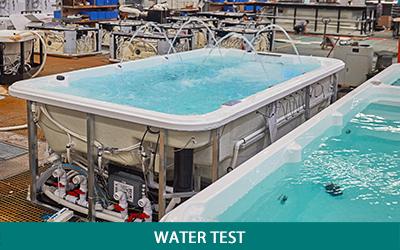 MEXDA Direct Swim Spa Endless Swimming Pool - Hot Tub WS-S06CT 22 Water Test